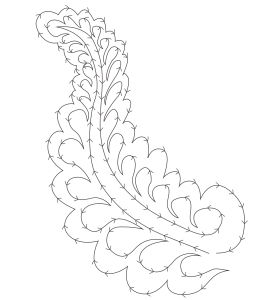 Feather Drill 1